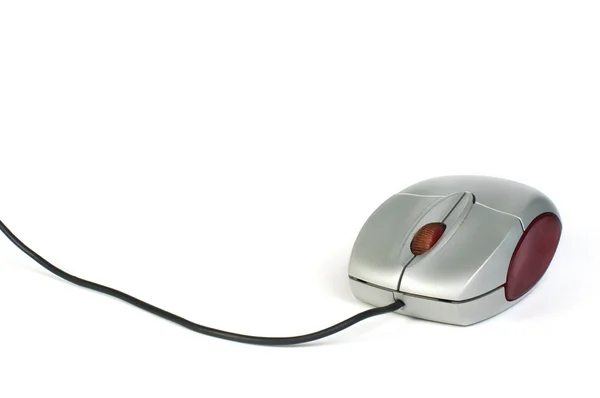 小型计算机鼠标 — 图库照片