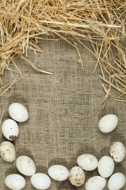 Organik beyaz yerli çul ve saman üzerinde yumurta