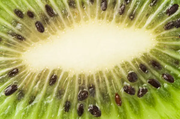 Kiwi fruta primer plano fondo — Foto de Stock