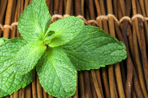 Mint leaves on wooden base — Stock Photo, Image