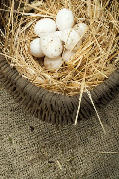 Ovos domésticos brancos orgânicos na cesta vintage — Fotografia de Stock