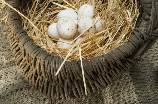 Uova domestiche bianche biologiche nel cestino vintage — Foto Stock