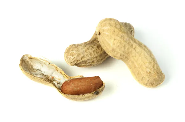 Rohe Erdnüsse in Schalen und geschälte Erdnüsse — Stockfoto