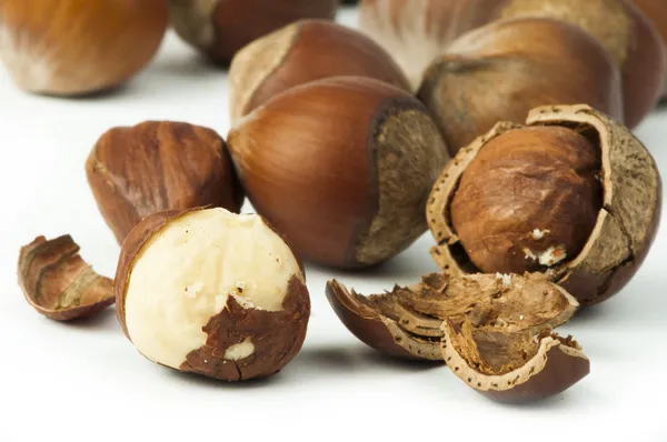 Closeup syrové lískové ořechy bílý izolované — Stock fotografie