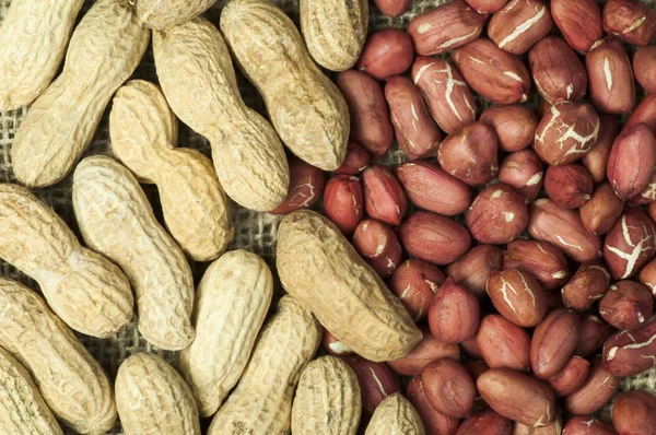 Närbild jordnötter på säckväv — Stockfoto