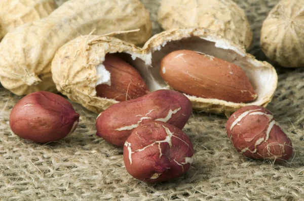 Closeup arašídy na pytlovina — Stock fotografie
