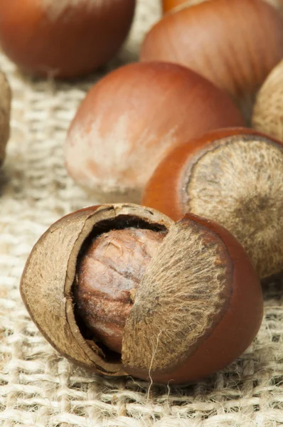 Closeup syrové lískové ořechy na pytlovina — Stock fotografie