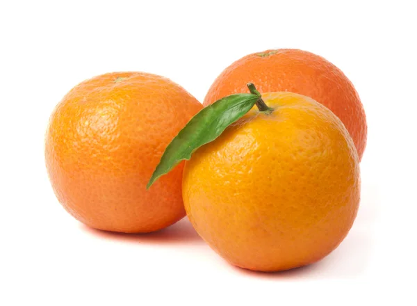 Group mandarins white isolated studio shot — Stock Photo, Image