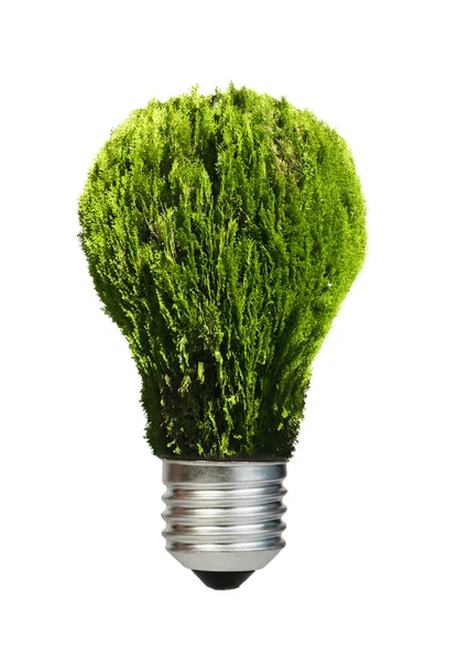 Lamp gemaakt van groene planten. ecologie conceptie — Stockfoto