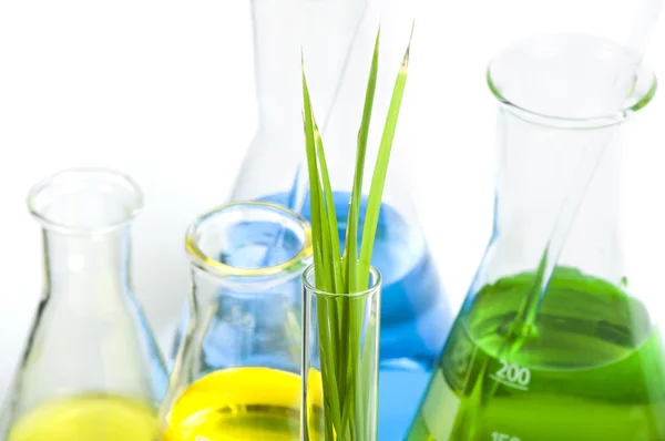 Plantas verdes em equipamentos de laboratório — Fotografia de Stock