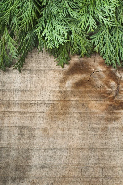 Holz und Tannenzweige Hintergrund — Stockfoto