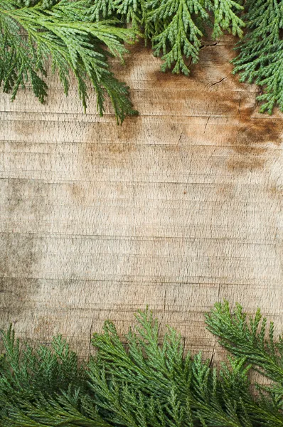 Holz und Tannenzweige Hintergrund — Stockfoto