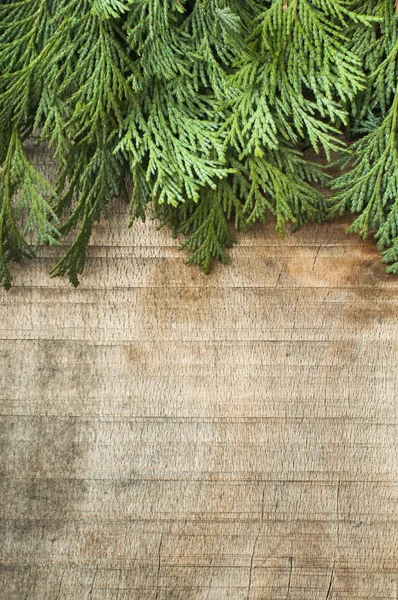 Holz und Tannenzweige Hintergrund — Stockfoto