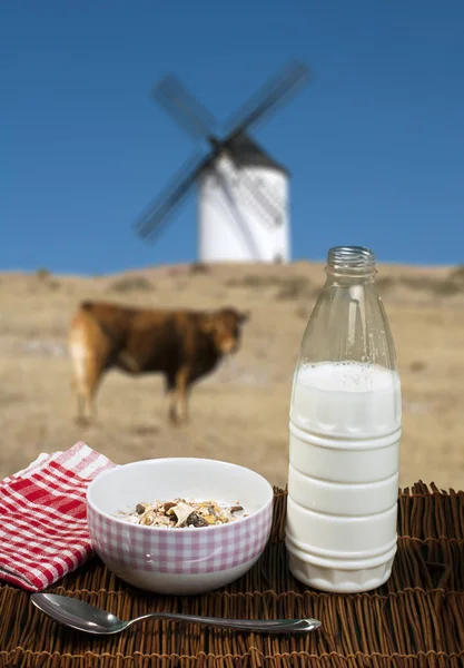 Muesli breakfast in a bow, spoon and milk — Stock Photo, Image