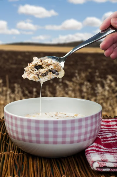 Muesli café da manhã em um arco e colher — Fotografia de Stock