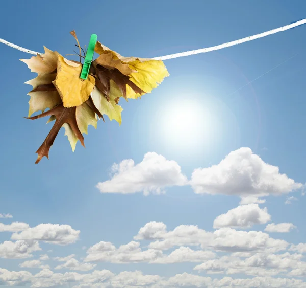 Autumn leaves on a rope — Stock Photo, Image