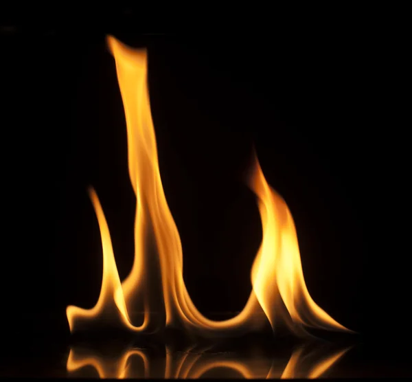 Fire on a black background — Stock Photo, Image