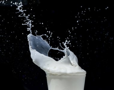 siyah arka plan üzerine sıçramasına süt