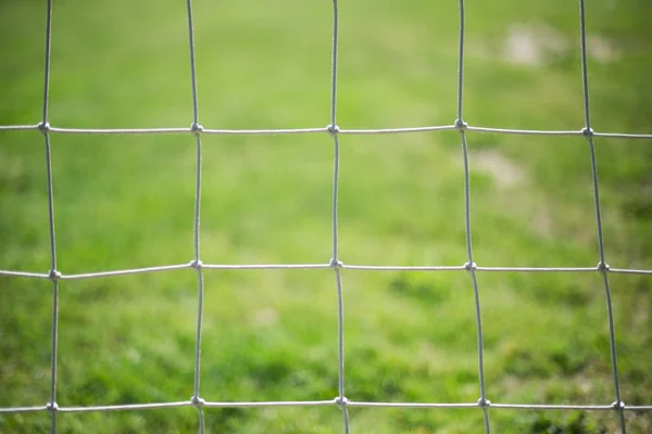 Football net — Stock Photo, Image