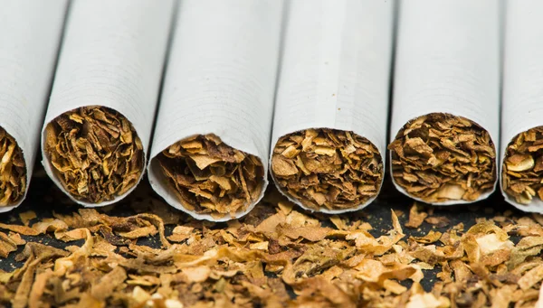 Organizado em uma linha de cigarros — Fotografia de Stock