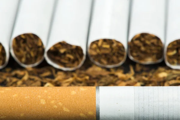 Disposé dans une rangée de cigarettes — Photo