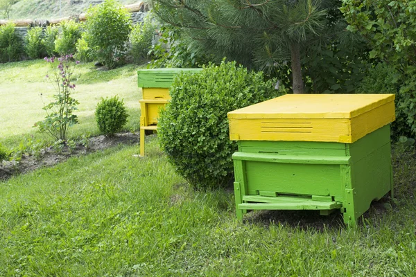 Yellow beehives — Stock Photo, Image
