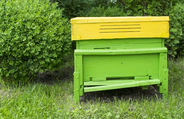 Green beehive — Stock Photo, Image
