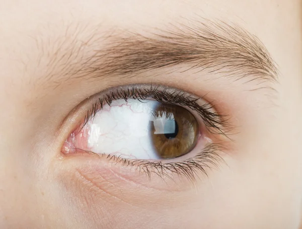 Ojo humano mirando a la derecha — Foto de Stock