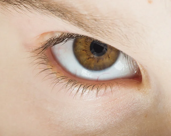 Cor marrom olho humano — Fotografia de Stock