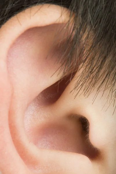 Oído humano — Foto de Stock
