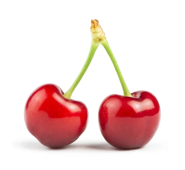 Two Cherries white isolated — Stock Photo, Image