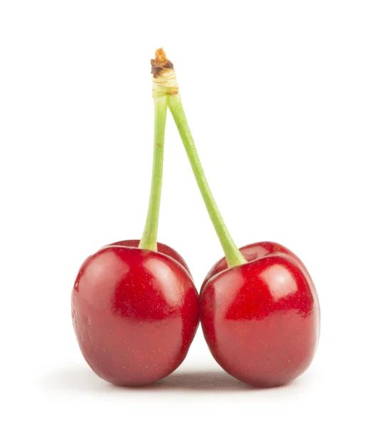 Two Cherries white isolated — Stock Photo, Image