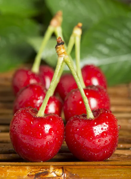 Cherries and branch with leaves — Stock Photo, Image