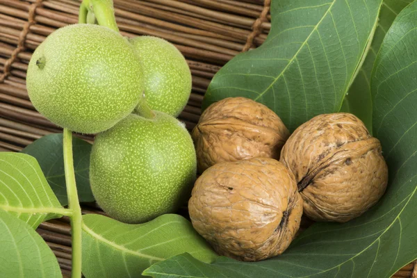 Zelené a zralé ořechy. Studio záběr — Stock fotografie