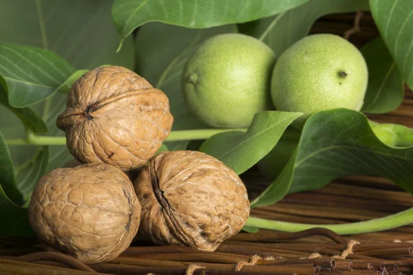 Green and ripe walnuts. Studio shot — Stock Photo, Image