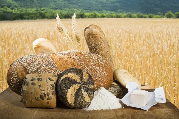 Bread and wheat cereal crops — Stock Photo, Image