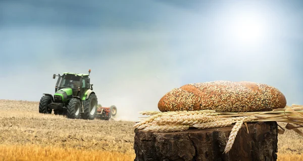 Bread and wheat cereal crops.Traktor on the background — Stock Fotó