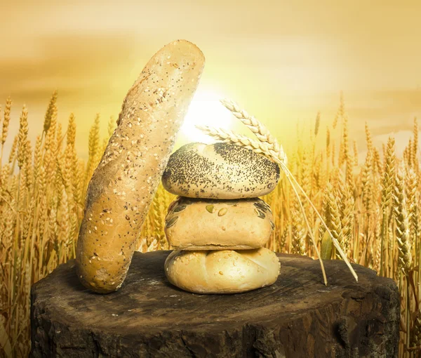 Bread and wheat cereal crops. — Stock Photo, Image