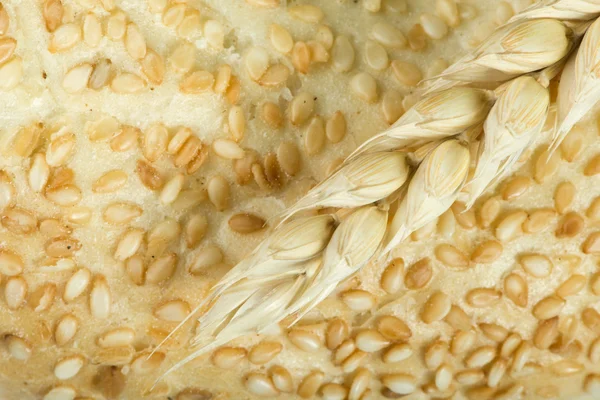 Close up Bread and wheat cereal crops — Stock Photo, Image