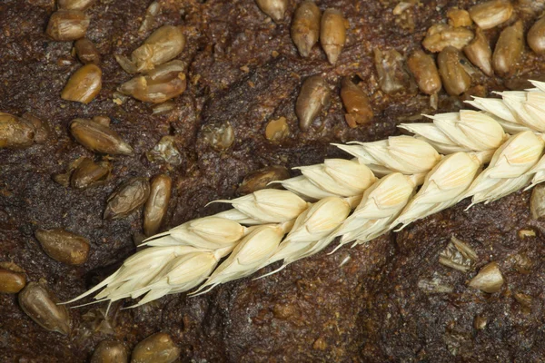Close-up van brood en tarwe granen — Stockfoto