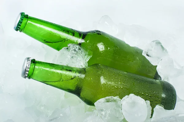 Green Bottle of beer — Stock Photo, Image