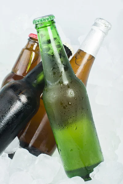 Grüne Flasche Bier — Stockfoto