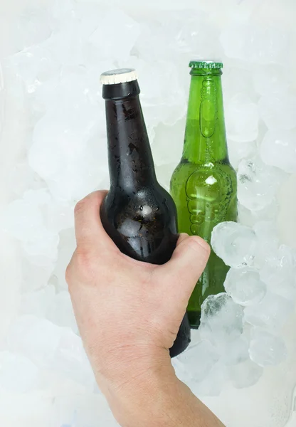 Zöld üveg sör. — Stock Fotó