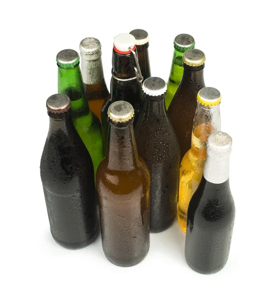 Group of Beer bottles isolated studio shot — Stock Photo, Image