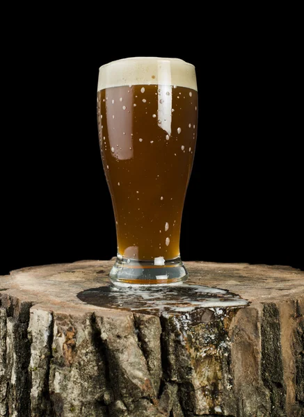 Beer mug on stump — 스톡 사진