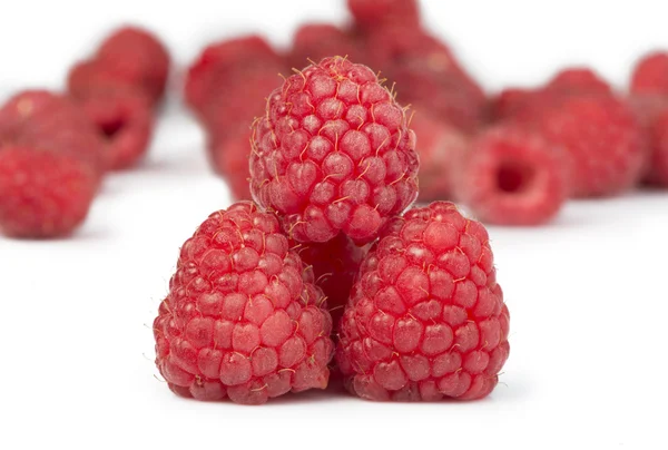 Raspberries white isolated — Stock Photo, Image