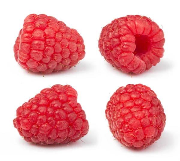 Himbeeren weiß isoliert — Stockfoto