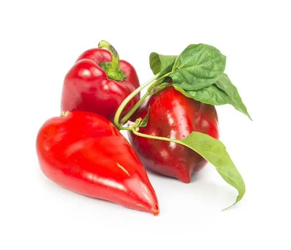 Red peppers and leaves — Stock Photo, Image