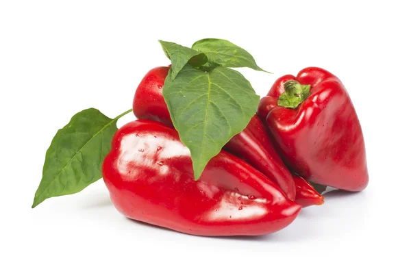 Red peppers and leaves — Stock Photo, Image