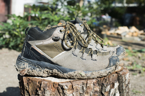 Hiking shoes